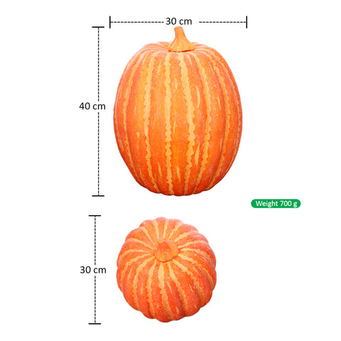 Lifelike Large  Pumpkin