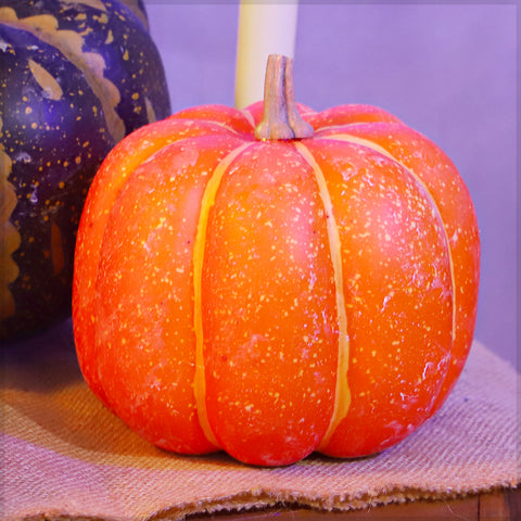 Festive Autumn Pumpkin  Decor