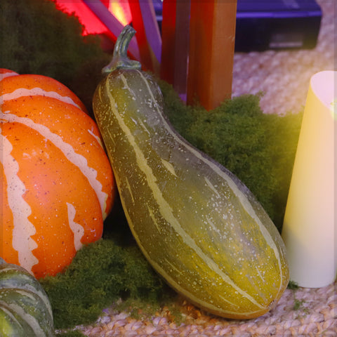 Faux Delicata Squash