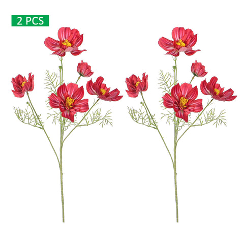 cosmos flower bouquet