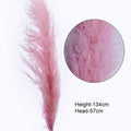 Natural Pink Pampas Grass Décor