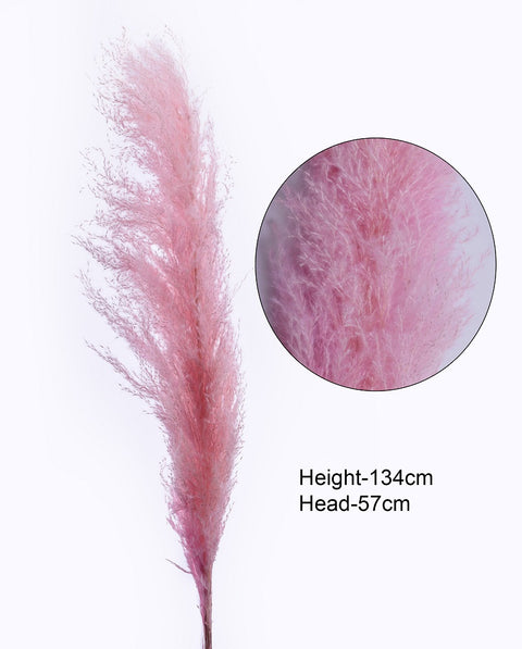 Natural Pink Pampas Grass Décor