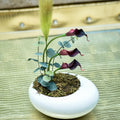 Rustic Moss Decor