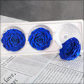 Forever Rose Floral Arrangement