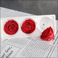 Preserved Rose for Decoration