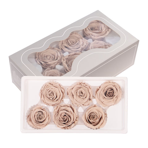 6 Pieces Preserved Rose Flower