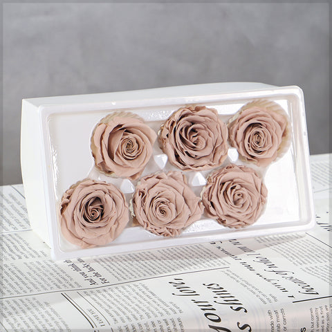 6 Pieces Preserved Rose Flower