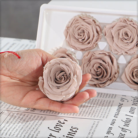 6 Pieces Preserved Rose Flower