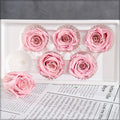Romantic Dried Rose Decoration