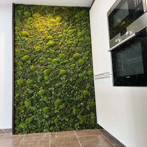 Indoor Green Wall Installation in Modern Kitchen for display purposes only (non-sale)