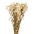 Dried Daisy Flower Bouquet