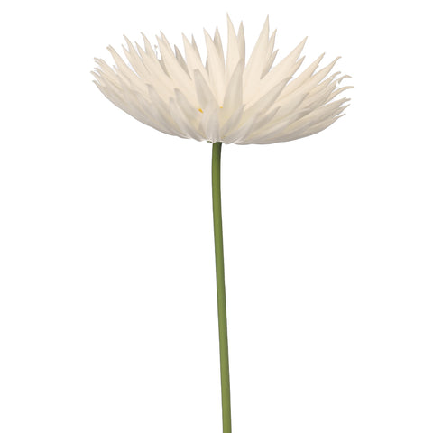 silk single stem daisy