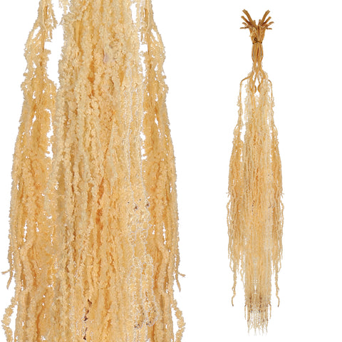 natural dried flowers