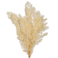 Floral Styling Fern