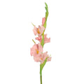 real touch gladiolus flower