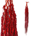 preserved dried hanging flower