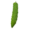 Decorative small size bitter gourd
