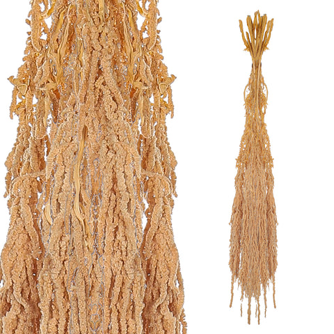 long-lasting preserved flowers
