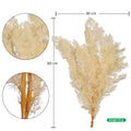 Natural Fern Decoration