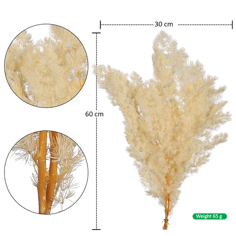 Natural Fern Decoration