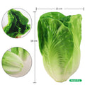 Fake lettuce vegetable