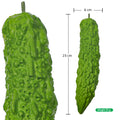 Small decorative bitter gourd