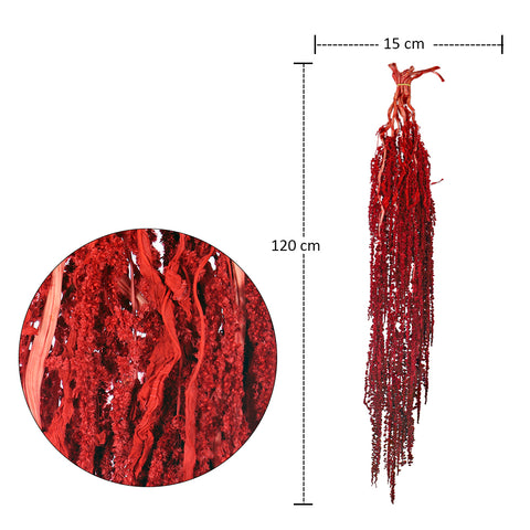 dried flower decor