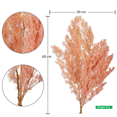 Rustic Dried Fern