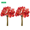 cymbidium orchids