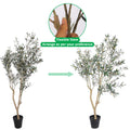 Olive Tree Decor