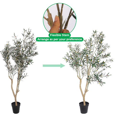 Olive Tree Decor