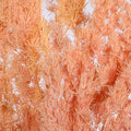 Boho Style Fern