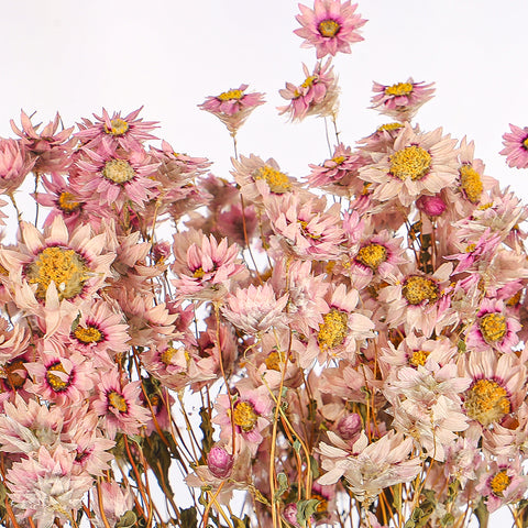 Vintage Dried Flower Bouquet