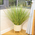 Nearly natural grass plant