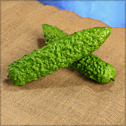 Decorative bitter gourd for home