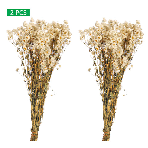 Rustic Dried Daisy Arrangement