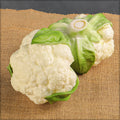 Faux cauliflower vegetable for decoration