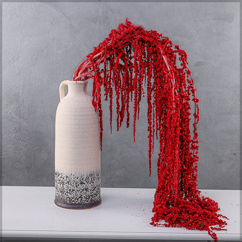 hanging preserved flowers