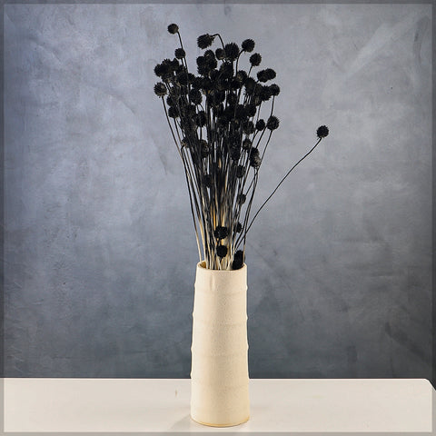 Dried Flowers for Vases