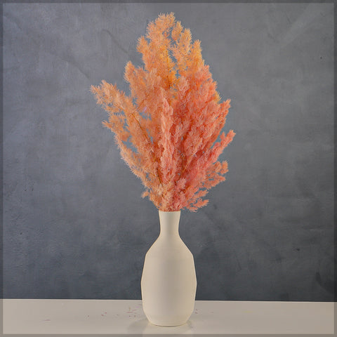 Home Decor Fern Branches