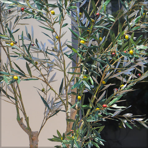 Decorative Indoor Tree