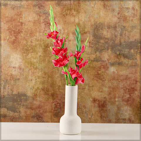 gladiolus flowers