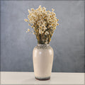 Dried Daisy Bunch for Weddings
