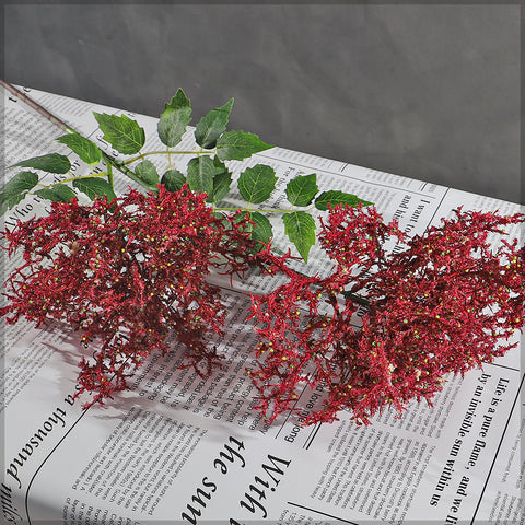 decorative astilbe flower stems