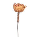 Artificial Dried Look King Protea