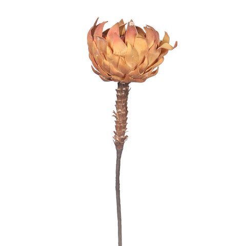 Artificial Dried Look King Protea