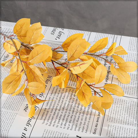 autumn leaves