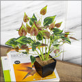 Artificial Small Plants in Pots