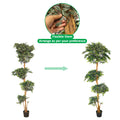 realistic indoor ficus plant