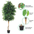 decorative artificial ficus tree